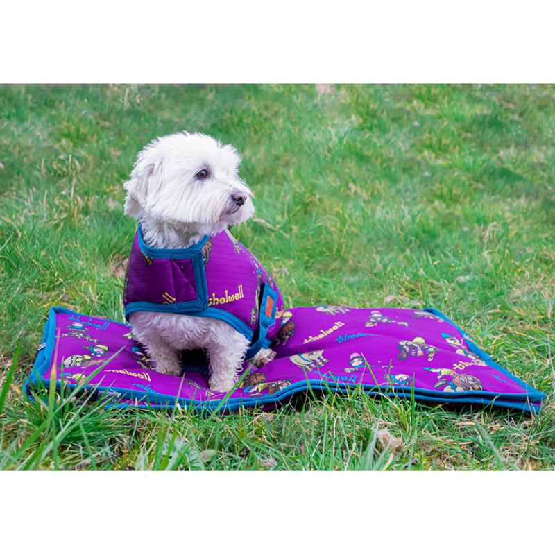 Benji and Flo Thelwell Collection Pony Friends Dog Rug Coat - Imperial Purple/Pacific Blue-3